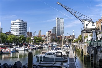 Rotterdam Marina, gastronomy, nightlife district, pleasure craft harbour, sailing boats, motor