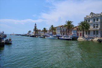 Coastal town with colourful houses and palm trees, boats in the water, on a sunny day, summer, Le