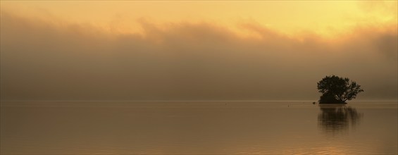 Sunrise at the Edersee with morning mist on the water, small island in the Eder dam, Ederstausee,