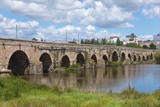 Long historic stone bridge over a river, surrounded by nature and buildings under a blue sky, Roman