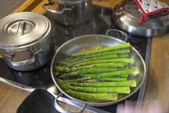 Preparation of green asparagus (Asparagus officinalis) in the pan, Bavaria, Germany, Europe