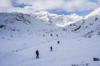 Ski tourers ascending in the rear Martell Valley, snow-covered mountain peak Monte Cevedale behind,