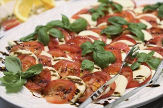 Caprese, original Italian antipasti