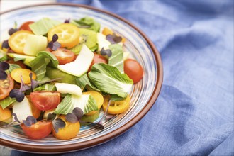 Vegetarian salad of pac choi cabbage, kiwi, tomatoes, kumquat, microgreen sprouts on a white