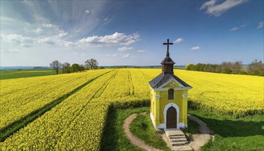 Agriculture, rape field, in full bloom, yellow, in it a small prayer chapel, aerial view, AI