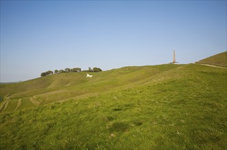 Scarp slope of White Horse on Cherhill Down and Lansdowne monument, Cherhill, Wiltshire, England,