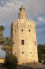 Torre del Orre built 1220 by the Almohads, moorish tower where gold was stored, Seville, Spain,