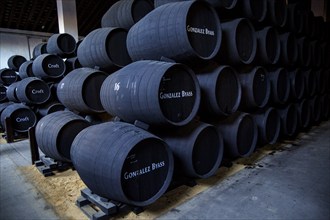 Oak barrels of maturing sherry wine cellar, Gonzalez Byass bodega, Jerez de la Frontera, Cadiz