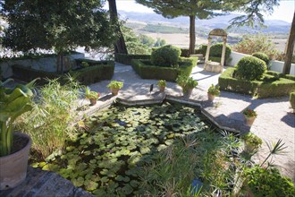 Pond plants trees in garden Casa del Rey Moro, Ronda, Spain, Europe