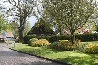 NL, Eesergroen: Spring shapes the landscape, cities and people in the province of Drenthe in the