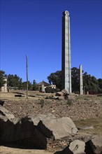 Tigray region, in the stele park of Axum, Aksum, ancient cemetery of the Axumite kings, Ethiopia,