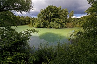 Harpener Teiche, also known as Werner Teiche, still water with milky, cloudy mine water, Bochum,