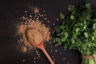 Fresh cilantro, coriander grains and powder, on a wooden table, top view, no people