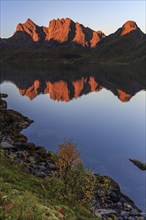 Mountains reflected in fjord, morning light, sunny, autumn, Annfjord, Vesteralen, Norway, Europe