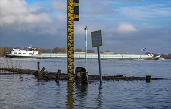 High water on the Rhine, Flooded banks of the Rhine, Rhine meadows near the village of Grieht,