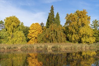 Trees with colourful leaves in autumn by a pond, Wiesenburg Castle Park, International Art Trail,