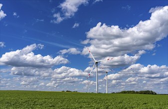 Wind farm, wind turbine, wind turbines from the manufacturer Enercon, blue sky with many white