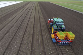 Lettuce plants are planted with a planting machine, Agriculture, Spring