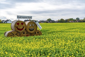 Advertising for regional purchasing, from farmers in the region, straw bales in a rapeseed field