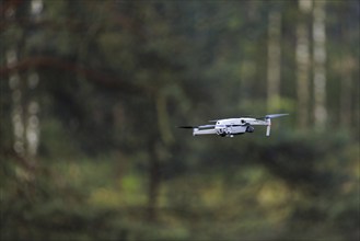 A drone in flight in the Hohe Ward nature reserve in Münster, 08/04/2024