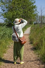 Woman taking photos, trees, circular hiking trail, Darßer Ort, Born a. Darß, Mecklenburg-Western