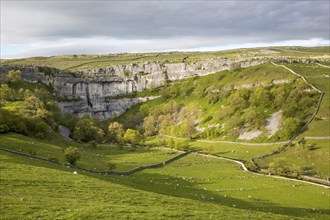 Malham Cove, Yorkshire Dales national park, England, UK