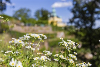 Weingut am Goldenen Wagen. The Spitzhaus is a former summer residence in the Saxon town of Radebeul