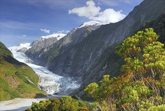 View from Sentinel Rock to Franz Josef Glacier, Westland National Park, South West New Zealand