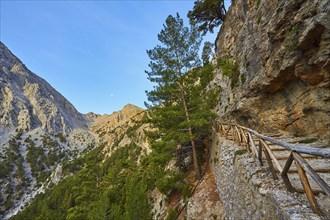 Stony hiking trail along a rock face, surrounded by mountains and trees, Xyloskalo, wooden