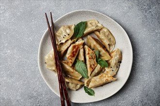 Japanese fried gyoza dumplings, with pork, sesame seeds, green onions