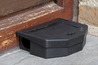 Poisoned plastic box for pest control, mouse bait station filled with rodenticide, poisonous paste