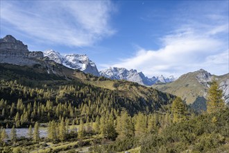 Mountain panorama with steep rocky peaks, yellow-coloured larches in autumn, view of Laliderspitze,