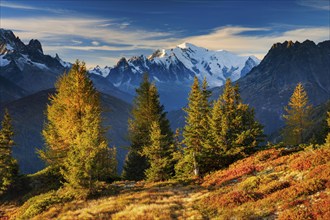 View of the Aiguille Verte and Mont Blanc in the first morning light in the Savoy, France, Europe