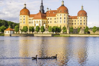 Moritzburg Castle, municipality of Moritzburg near Dresden, Saxony, Germany, Europe