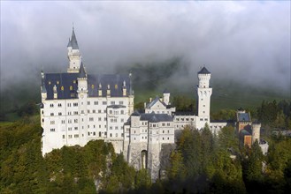 Neuschwanstein Castle near Hohenschwangau, Romantic Road, Ostallgäu, Bavaria, Germany, Europe