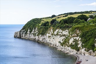 White Cliff, Jurassic Coast, Beer Village, Seaton, Devon, England, United Kingdom, Europe