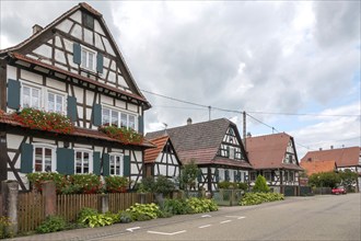 Half-timbered houses in the village of Seebach, Département Bas-Rhin, Alsace, France, Europe