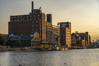 The inner harbour, in Duisburg, Werhahn-Mühle building on the left, granary with Explorado