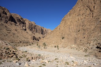 Todra Gorge or Gorges du Toudra, near Tinghir, Morocco, Africa