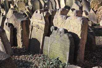 The Old Jewish Cemetery in the Josefov district is one of the most historically significant Jewish