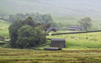 Farms in Yorkshire Dales National Park, North Yorkshire, England, United Kingdom, Europe