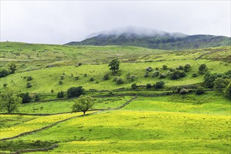 Farms in Yorkshire Dales National Park, North Yorkshire, England, United Kingdom, Europe