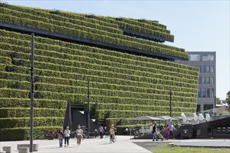 Kö-Bogen II office and commercial building, façade planted with 30, 000 hornbeams, ecological