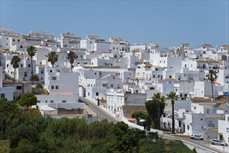 City panorama with densely built white houses and palm trees on a hill, New Town, Vejer de la