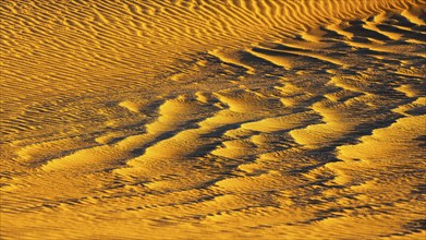 Sand structure formed by the wind, in the Rub al Khali desert, Dhofar province, Arabian Peninsula,