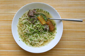 Swabian cuisine, Swabian noodle soup, soup, meat broth with noodles, chives, carrots, carrots,