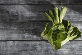 Fresh green bok choy or pac choi chinese cabbage on a gray wooden background. Hard light, contrast.