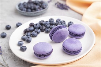 Purple macarons or macaroons cakes with blueberries on white ceramic plate on a gray concrete