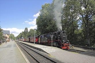 Harz narrow gauge railway with steam locomotive in station, train, Drei Annen Hohne, Wernigerode,