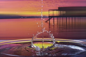 Splash of a drop falling into the water, studio shot, Bavaria, Germany, Europe